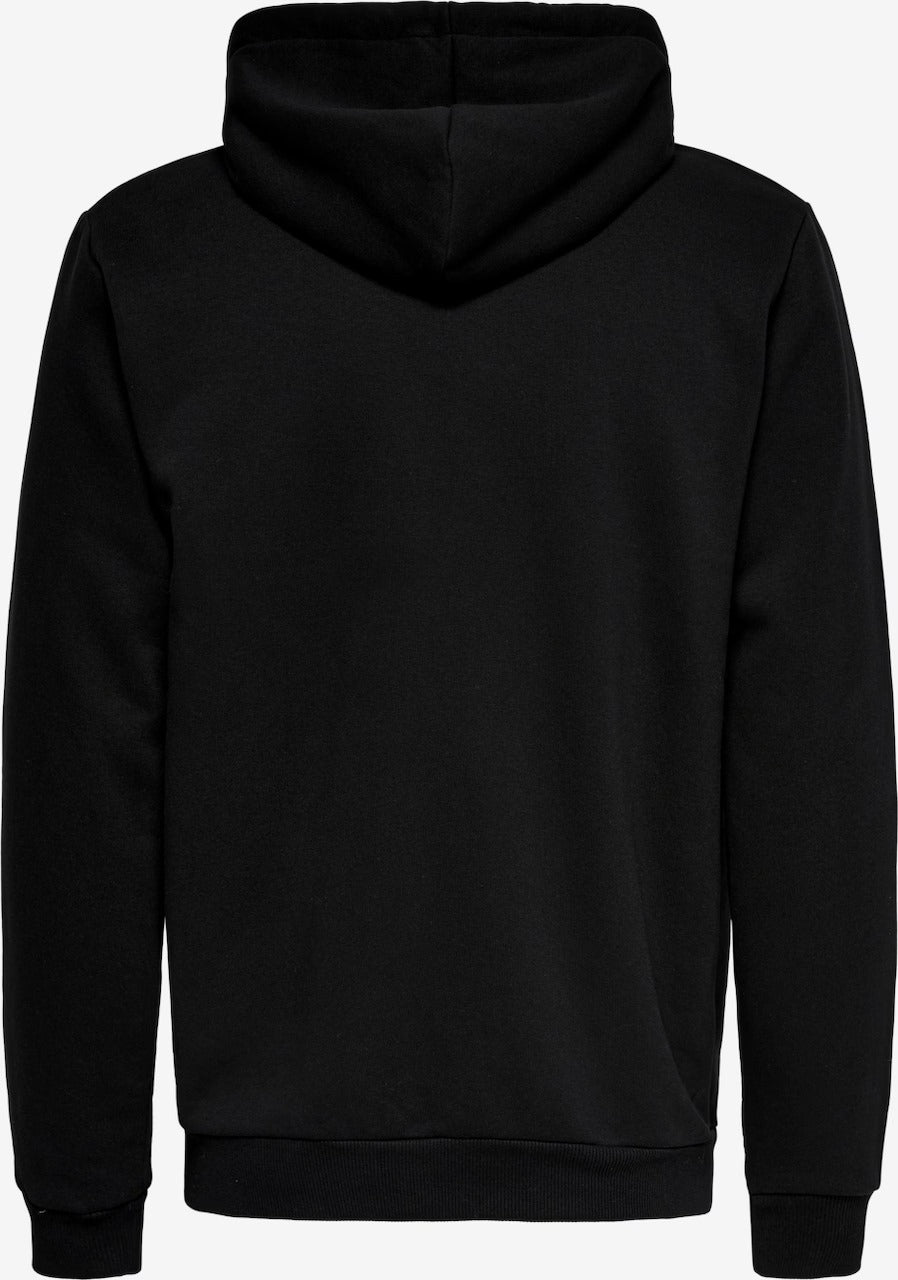 TNF Flag Hoodie